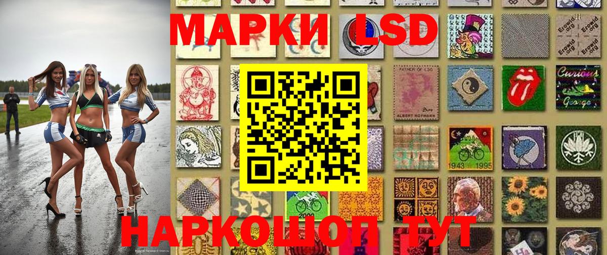 где можно купить   Наркотические марки 1,5мг  Наркотические марки 1,5мг  Наркотические марки  Вход с VPN  Большой Камень 