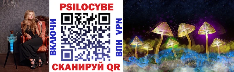Галлюциногенные грибы Psilocybine cubensis  купить   Большой Камень 
