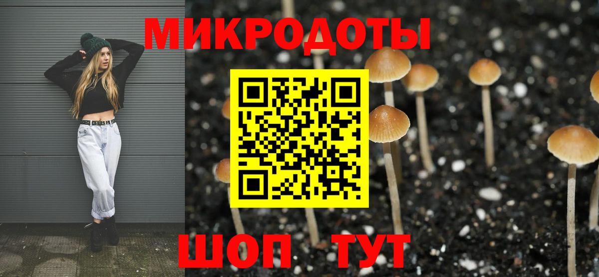 Псилоцибиновые грибы мухоморы  Вход с VPN  купить наркотики цена  Большой Камень 